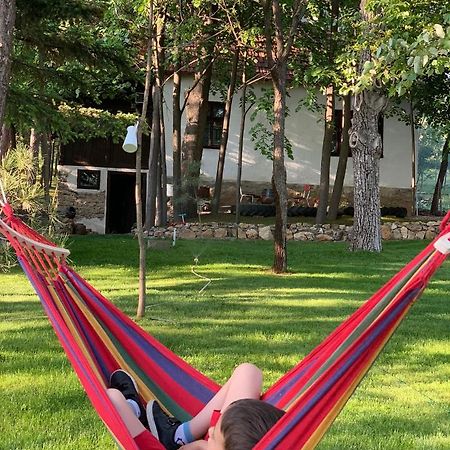 Konaciste Mali Izvor Villa Boljevac Bagian luar foto