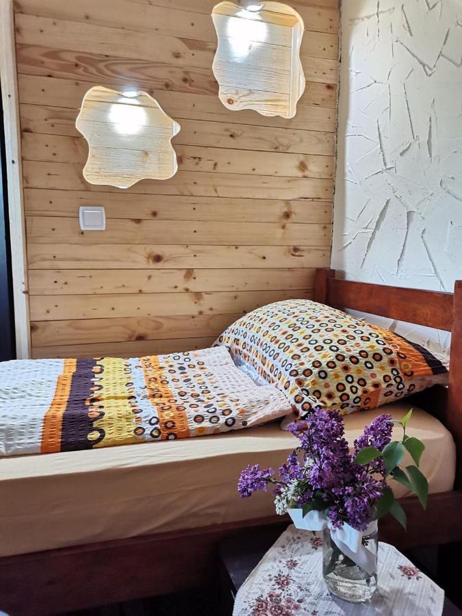 Konaciste Mali Izvor Villa Boljevac Bagian luar foto