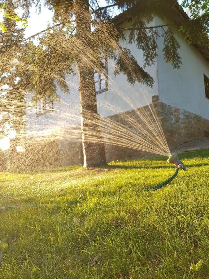 Konaciste Mali Izvor Villa Boljevac Bagian luar foto