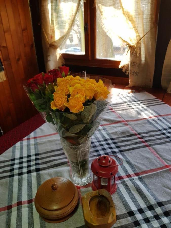 Konaciste Mali Izvor Villa Boljevac Bagian luar foto