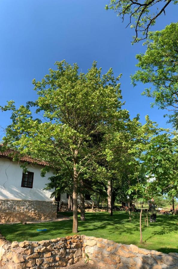 Konaciste Mali Izvor Villa Boljevac Bagian luar foto