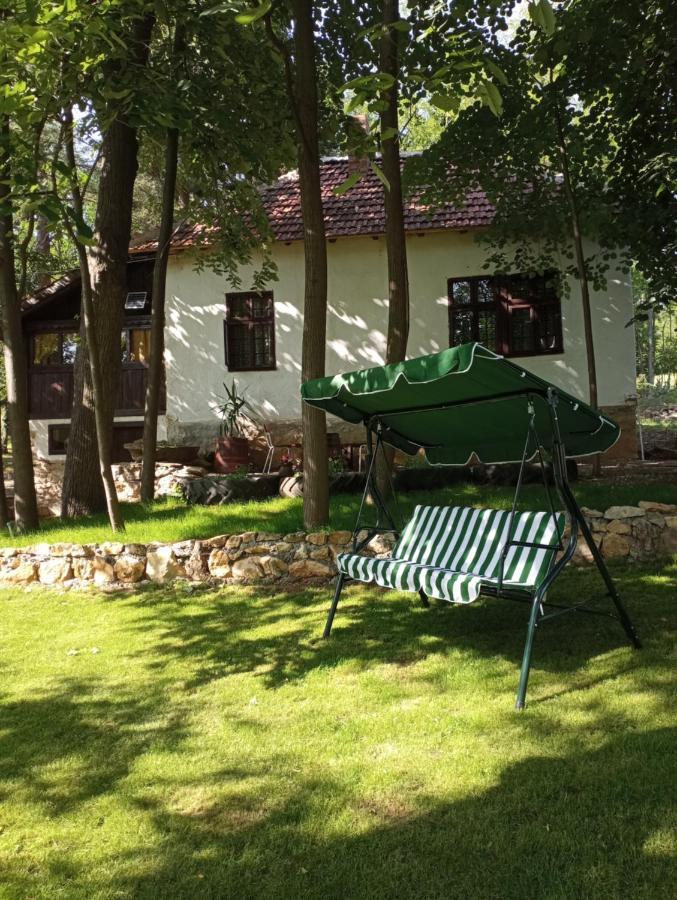 Konaciste Mali Izvor Villa Boljevac Bagian luar foto