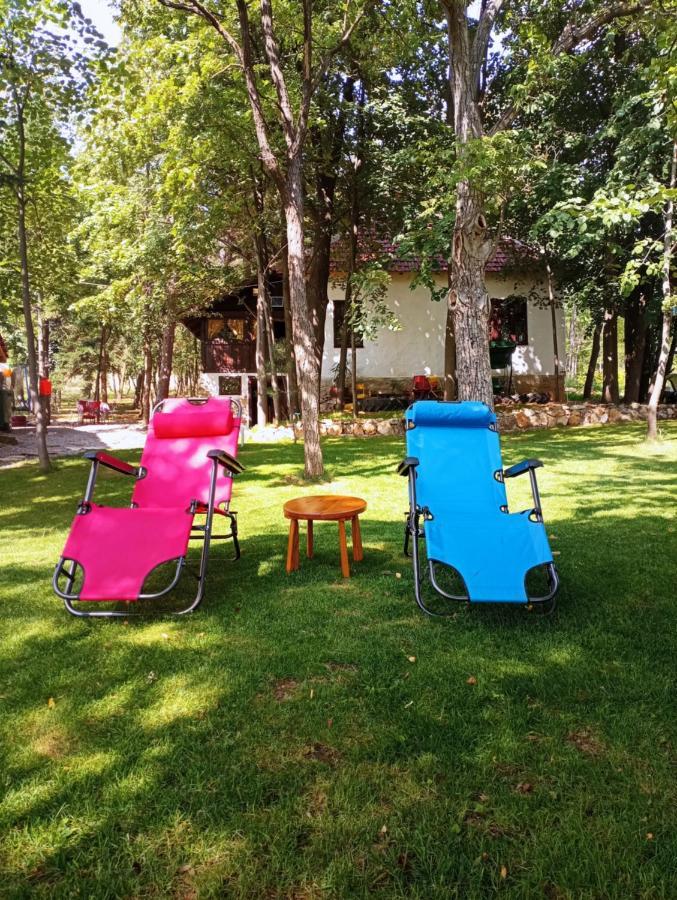 Konaciste Mali Izvor Villa Boljevac Bagian luar foto