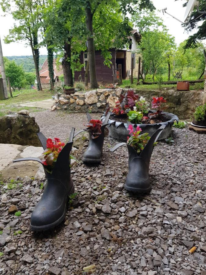 Konaciste Mali Izvor Villa Boljevac Bagian luar foto