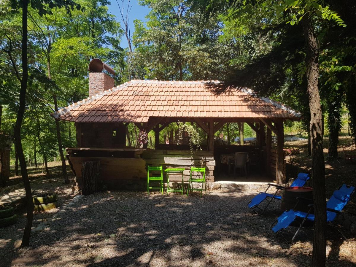 Konaciste Mali Izvor Villa Boljevac Bagian luar foto