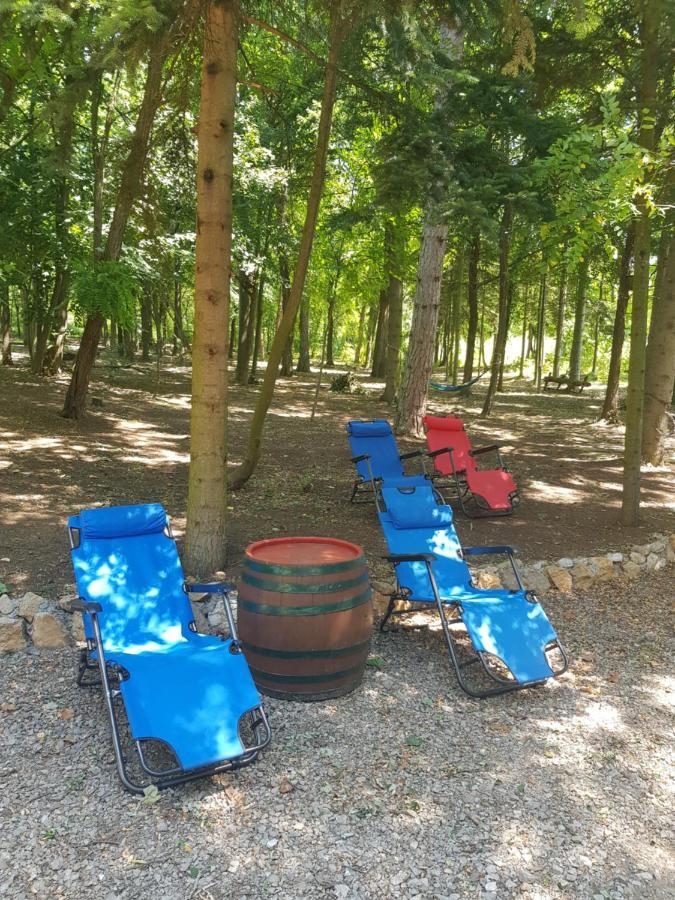 Konaciste Mali Izvor Villa Boljevac Bagian luar foto