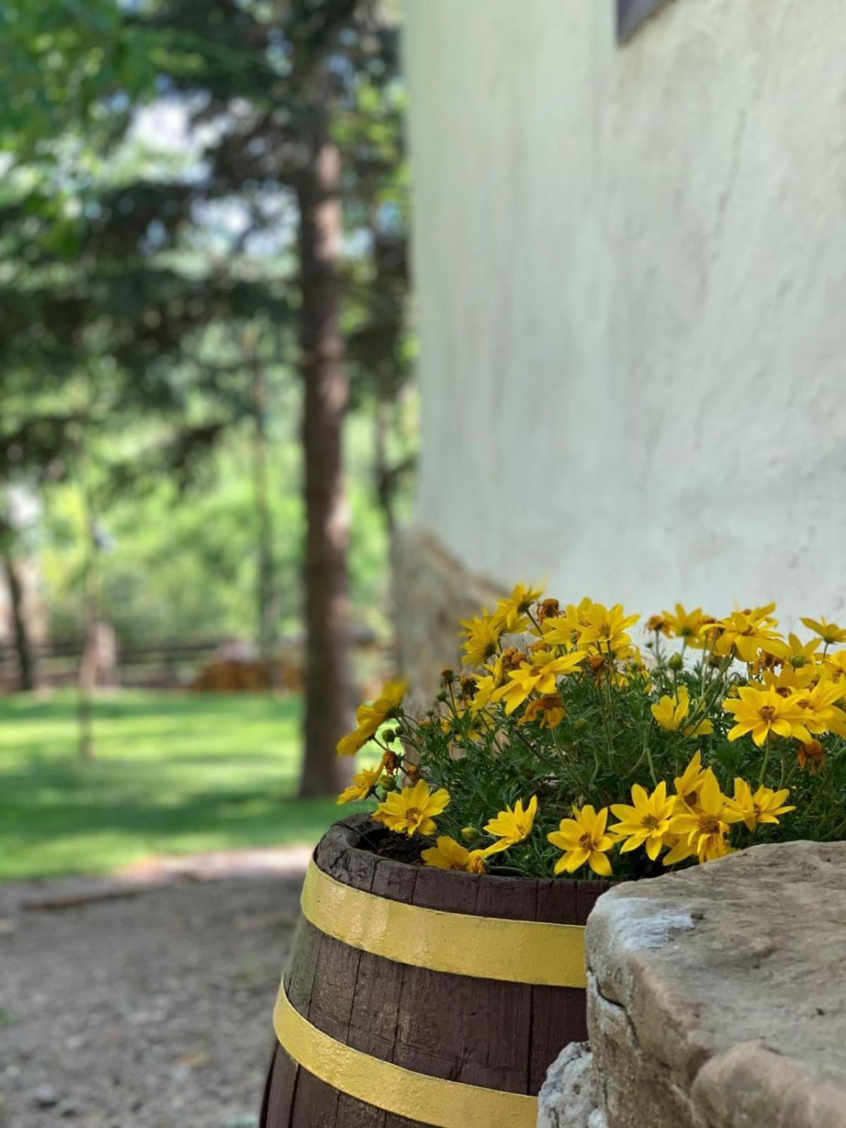 Konaciste Mali Izvor Villa Boljevac Bagian luar foto
